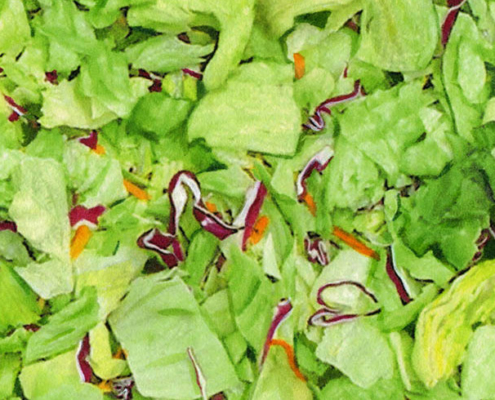 Cyclospora lawyer - Garden Salad with iceberg, red cabbage and carrots