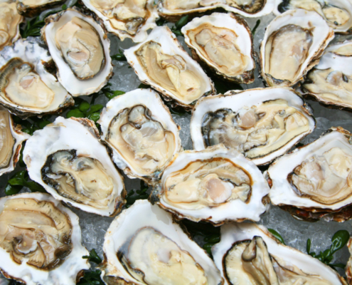 Raw oysters restaurant