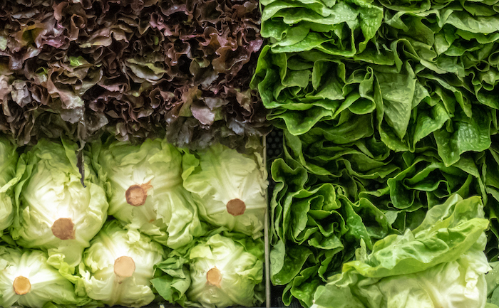 Leafy Greens Listeria Outbreak Ends With 19 Sick