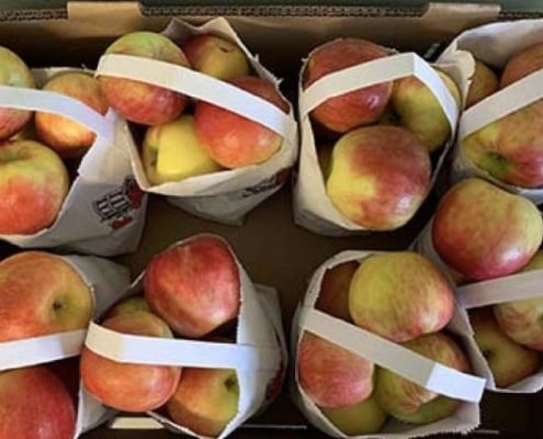 Listeria lawyer, apple recall white paper bags