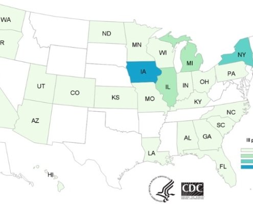 Salmonella Attorney Pig Ear Dog Treat Outbreak Map from CDC