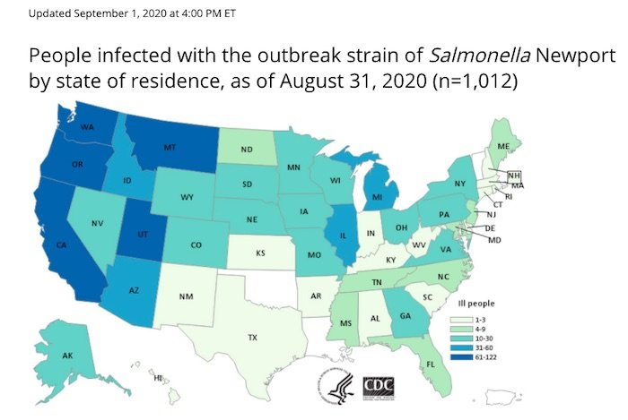 Salmonella Onion Outbreak Sickens 1,012 in 47 States