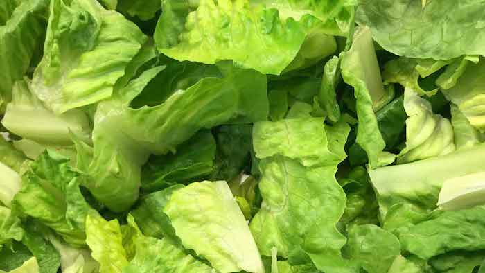 E.coli lawyer - chopped romaine lettuce