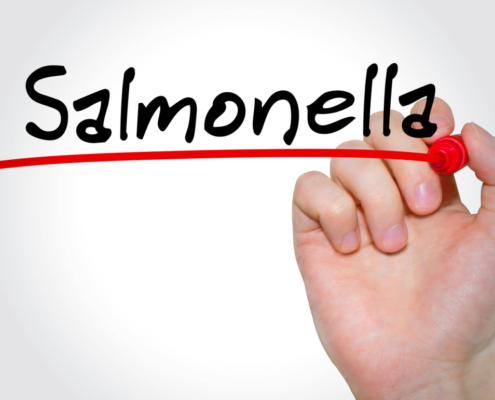 Salmonella