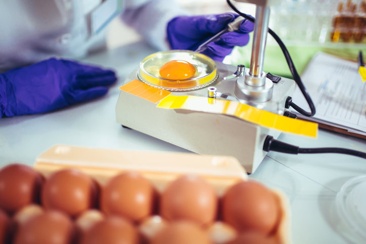 Salmonella Outbreak Linked to Brown Cage-Free Eggs