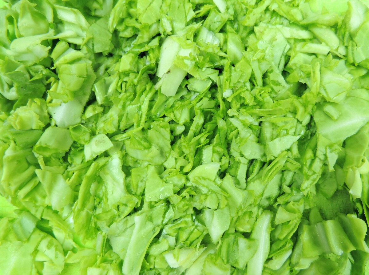 Close-up of shredded lettuce — lettuce and bagged salad greens are the leading suspected source of the 2026 U.S. cyclospora outbreak